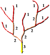 Strahler stream ordering method